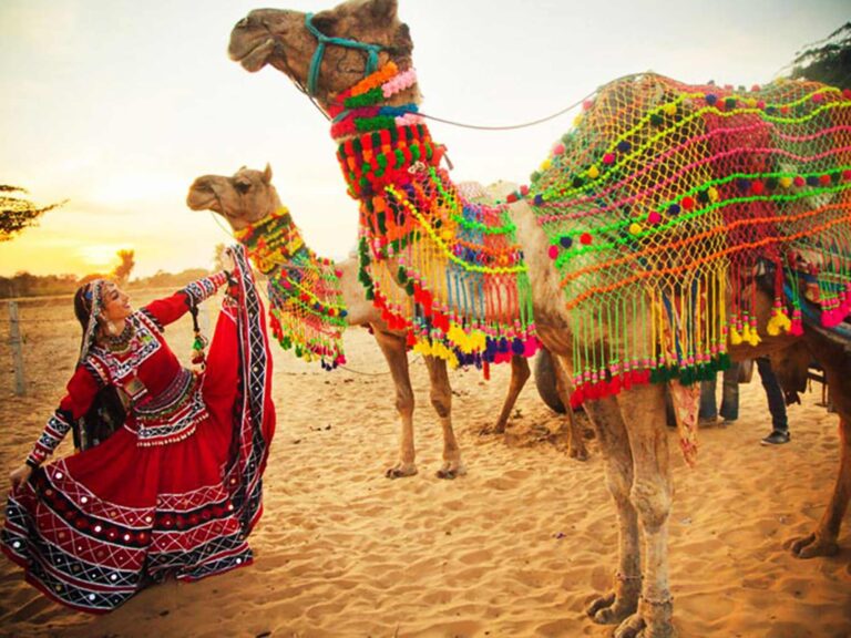Pushkar Camel Fair  Pushkar Mela Rajasthan