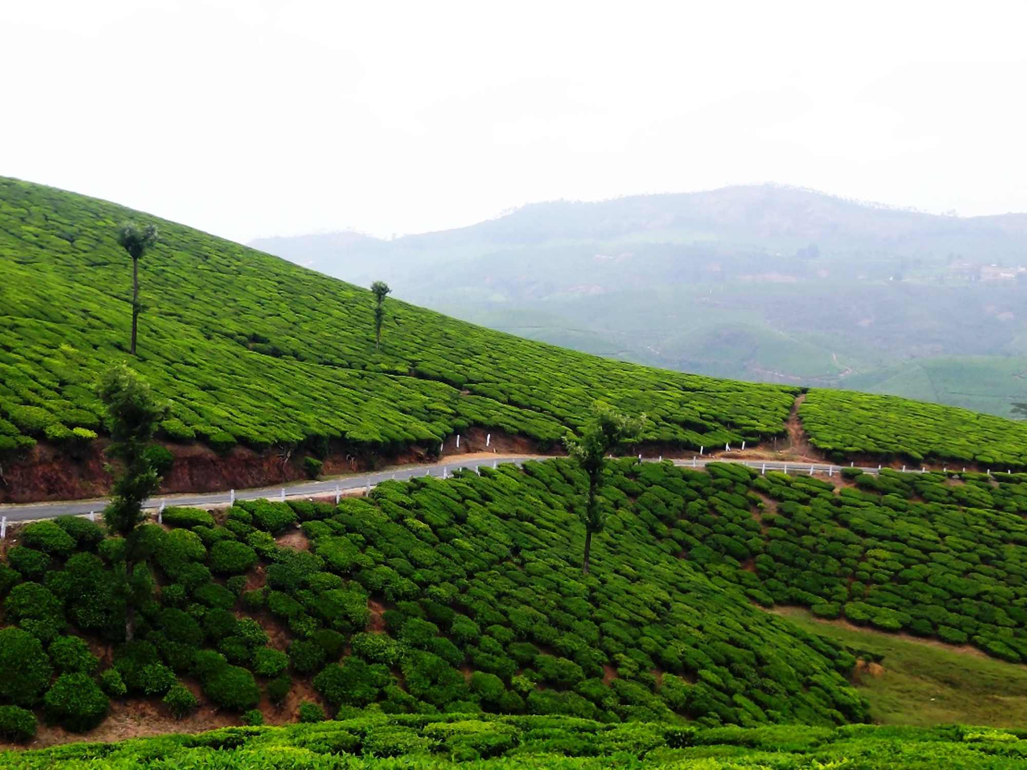 10 Offbeat Summer Holiday Destinations in India | Feature Articles ...