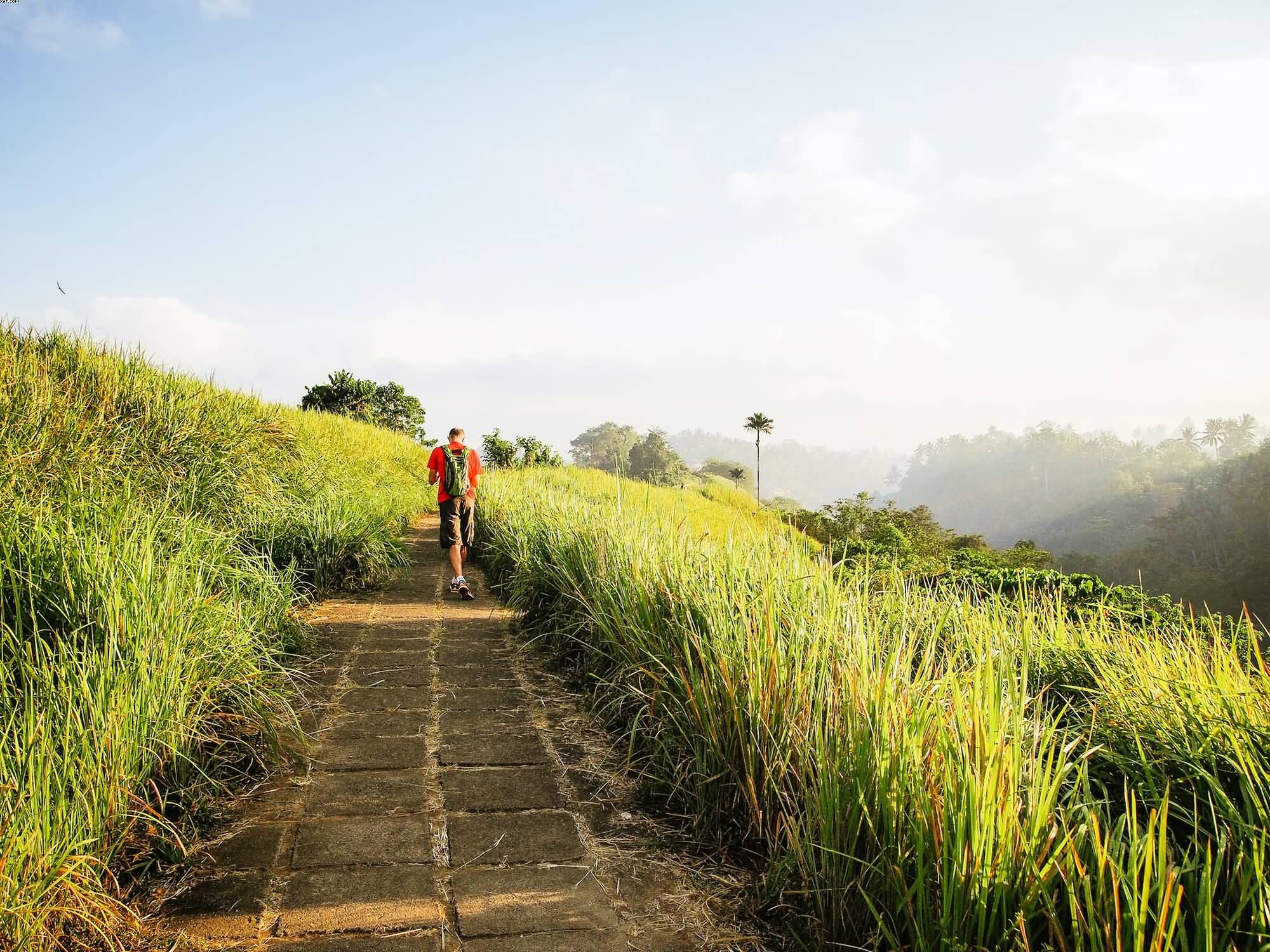 10 Exotic Places To Visit In Bali For Honeymoon Feature Article Solitary Traveller