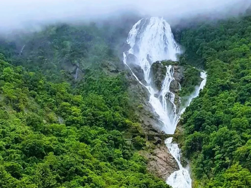 Bhagwan Mahavir Wildlife Sanctuary Dudhsagar Falls tallest waterfalls