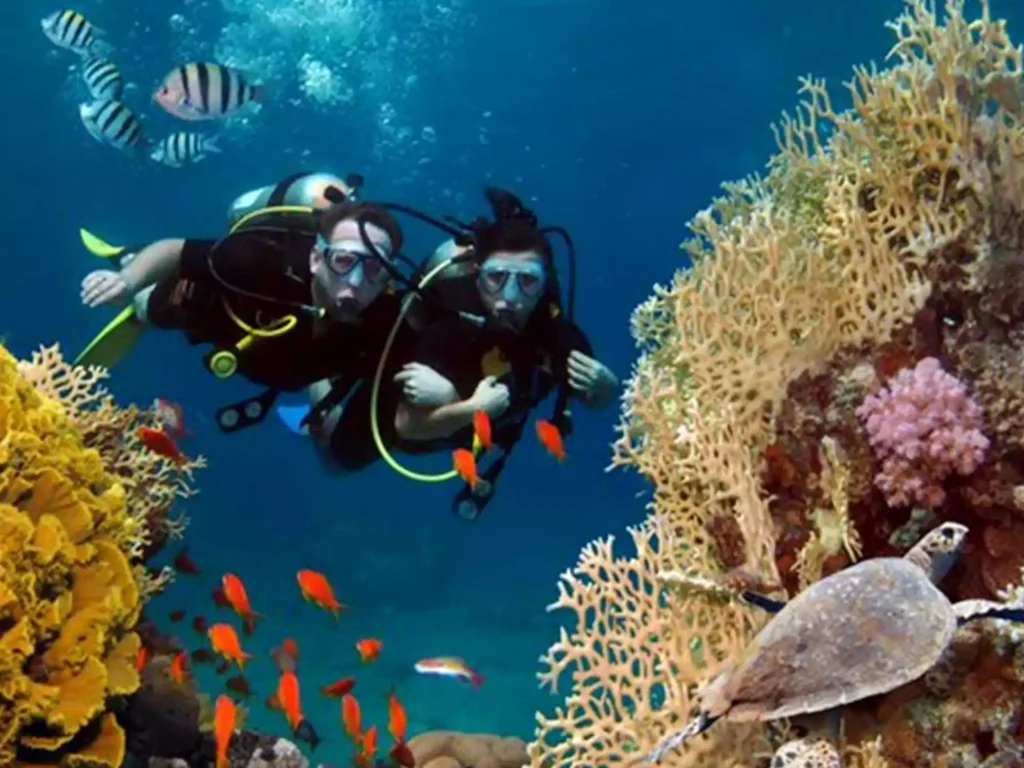 Scuba Diving in India is a high-adrenaline activity