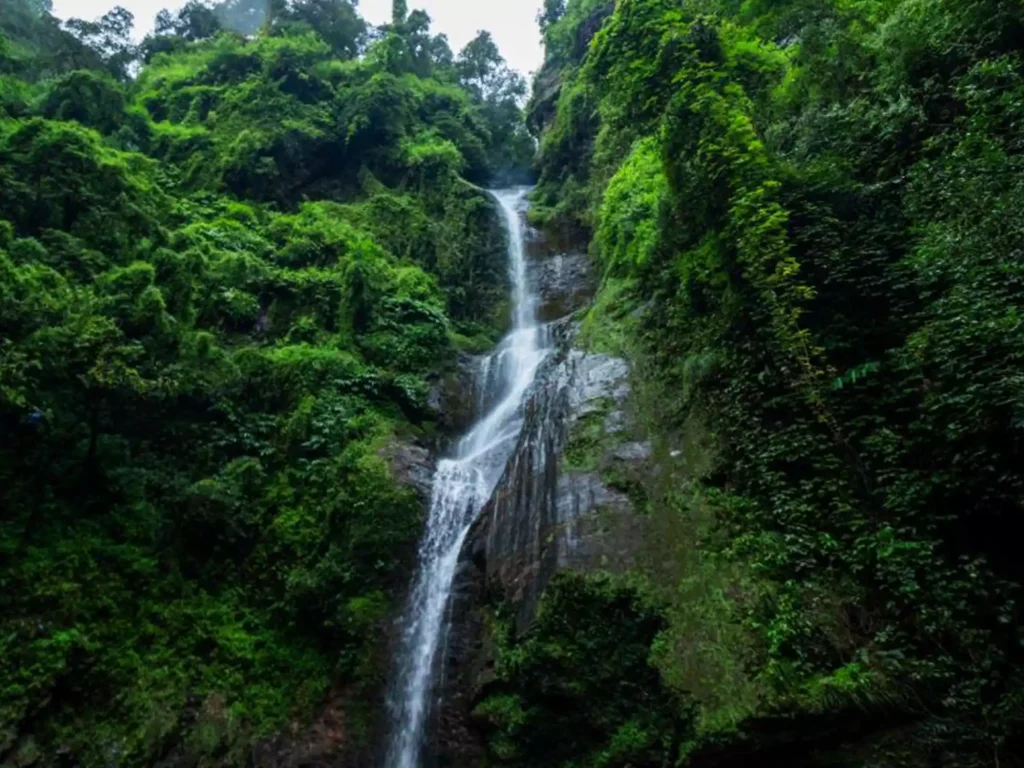 Trekking to Chadwick Falls in Shimla is a fantastic way to explore the natural beauty